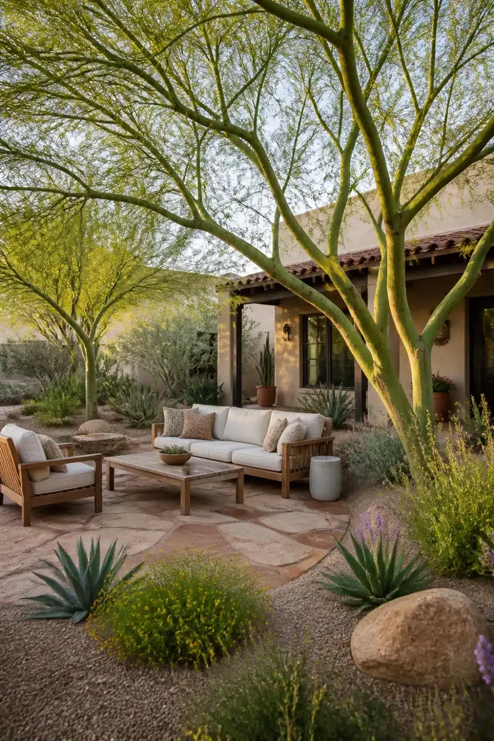 Desert front yard tree landscaping with palo verde trees, decomposed granite, agaves, and flagstone patio seating area.