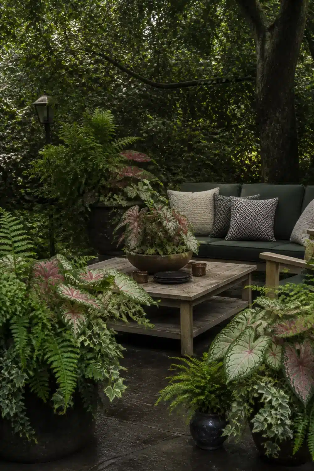 Full shade garden patio with caladiums, ferns, dark green sofa, and reclaimed wood coffee table