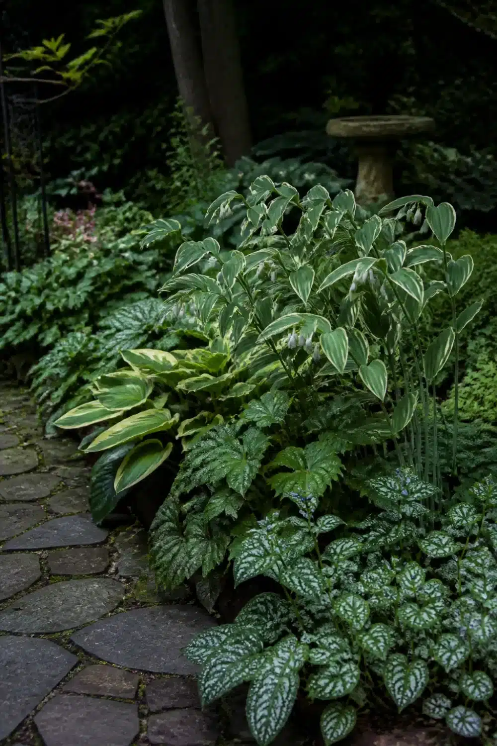 Full shade garden border with variegated hostas, pulmonaria, and stone birdbath along a flagstone path.