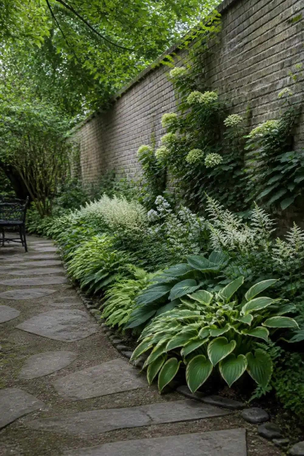 Full shade garden with hostas, white astilbe, and climbing hydrangea along a tall gray brick wall.