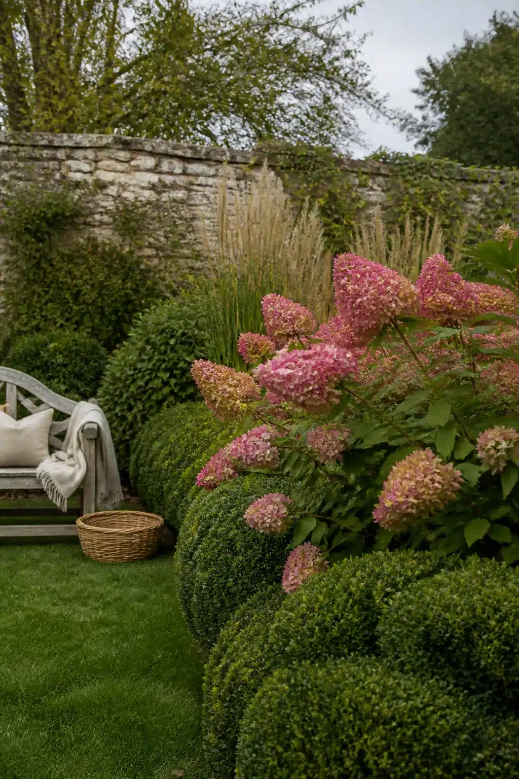 Hydrangea and boxwood landscaping with pink panicle hydrangeas, clipped boxwood balls, and a stone garden wall backdrop.