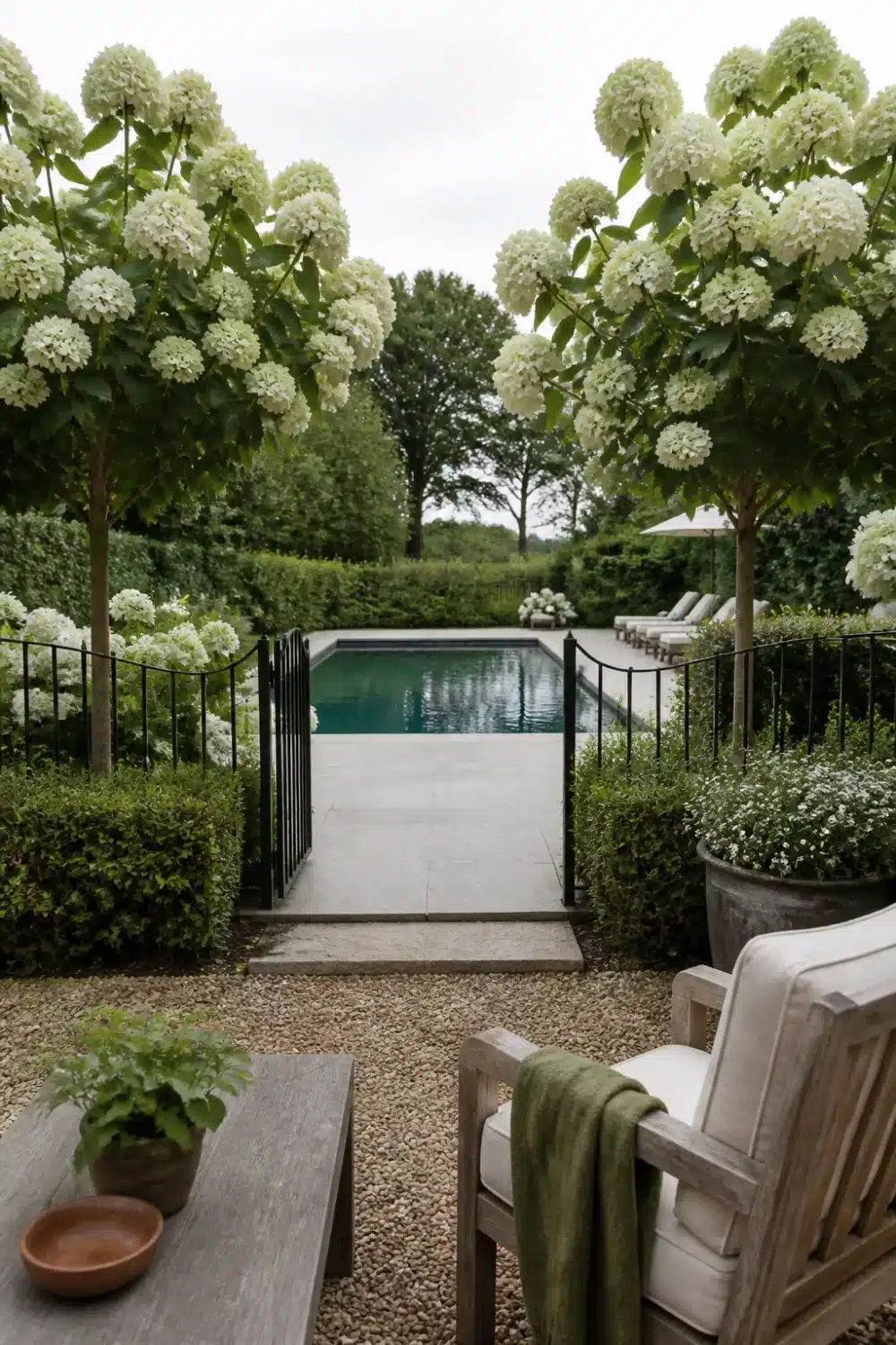 Hydrangea tree landscaping flanking an iron pool gate with gravel forecourt and clipped hedges.