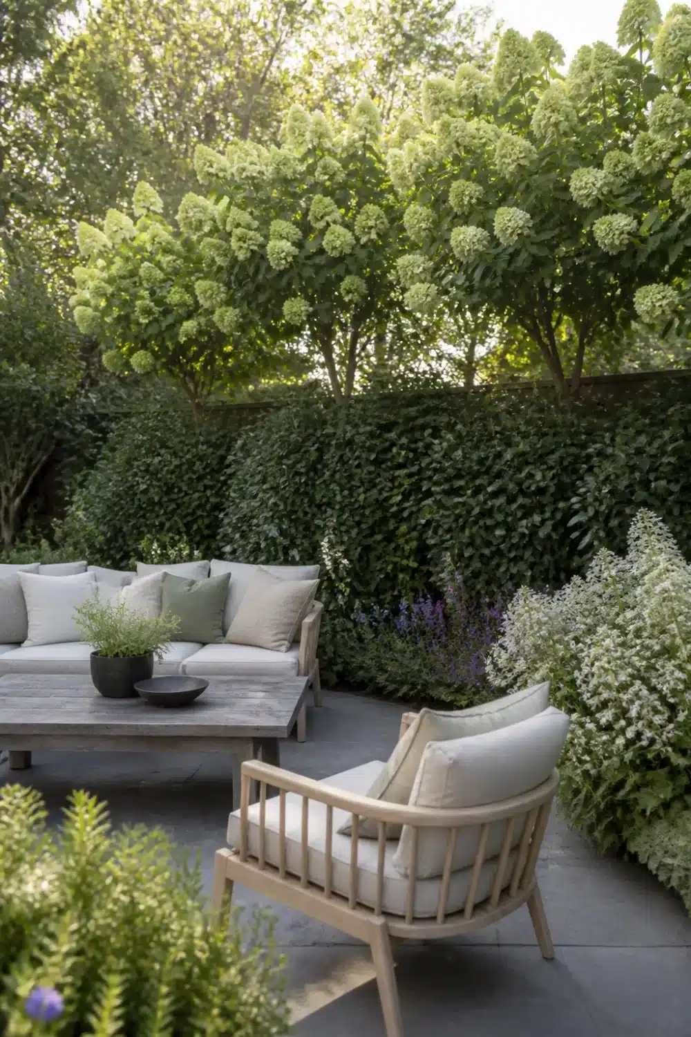 Hydrangea tree landscaping with layered hedge privacy screen, catmint border, and teak outdoor seating patio.