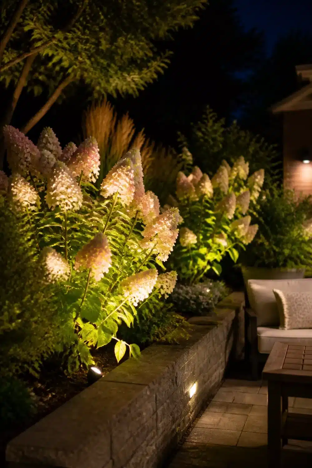Limelight Hydrangea landscaping with uplighting along a stone retaining wall, pink cone blooms glowing at night.