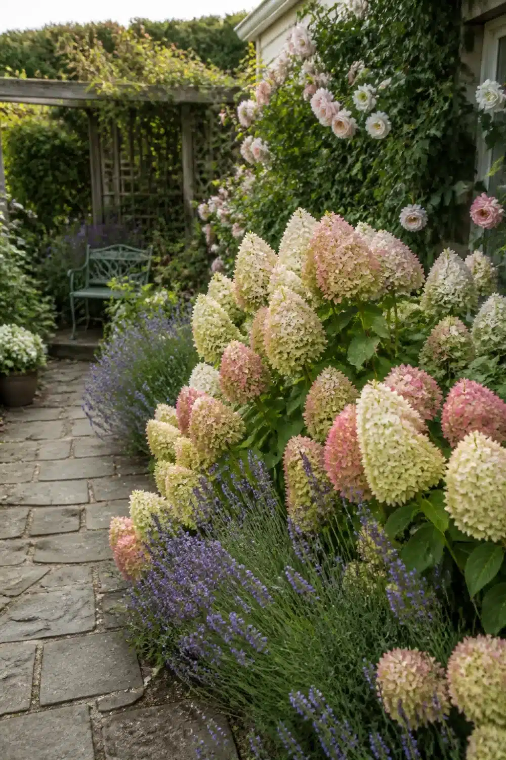 Limelight hydrangea landscaping with lavender underplanting along a stone garden path, cottage style border