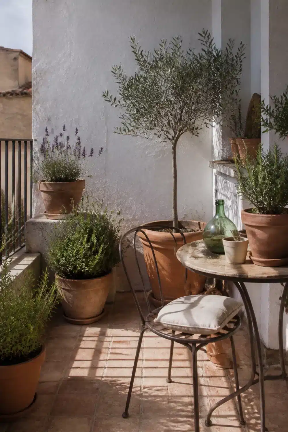 Mediterranean garden design on a small balcony with potted olive tree, rosemary, thyme, and terracotta pots.