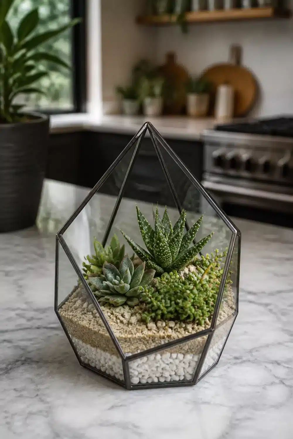 Mini succulent garden in a geometric black steel glass terrarium on a marble kitchen countertop
