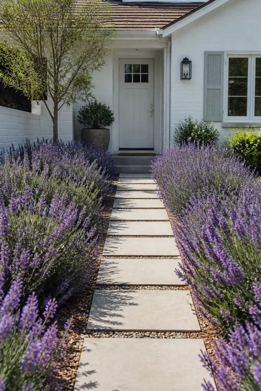No grass front yard landscaping with lavender borders, concrete stepping slabs, and crushed gravel path leading to white home entrance.