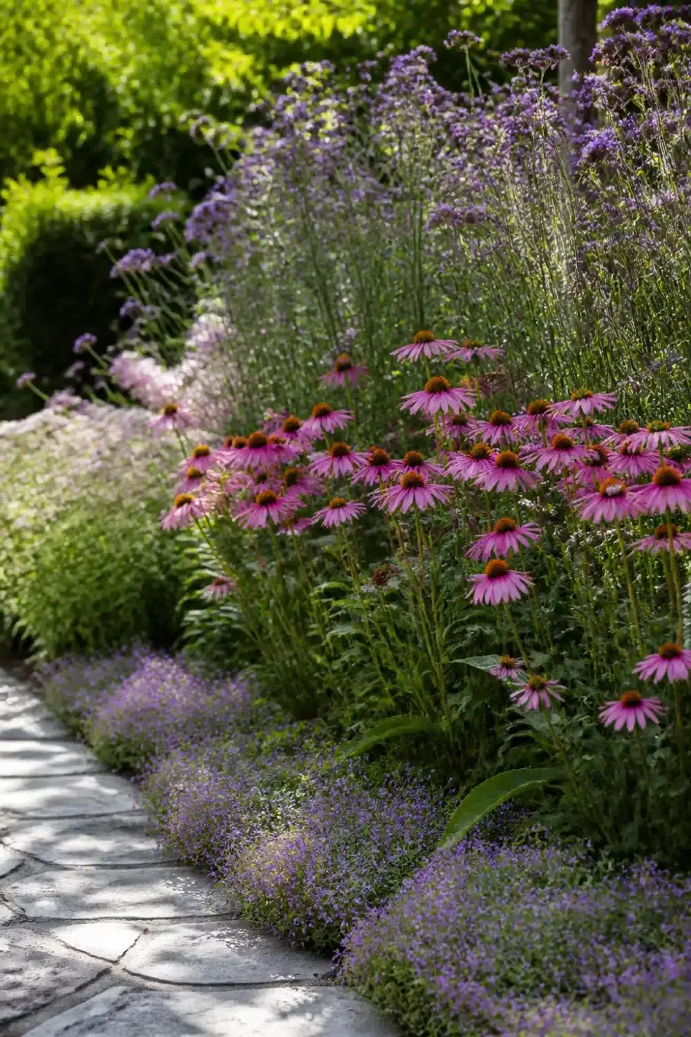 Layered pollinator garden design with catmint edging, pink coneflowers, and verbena along a flagstone path