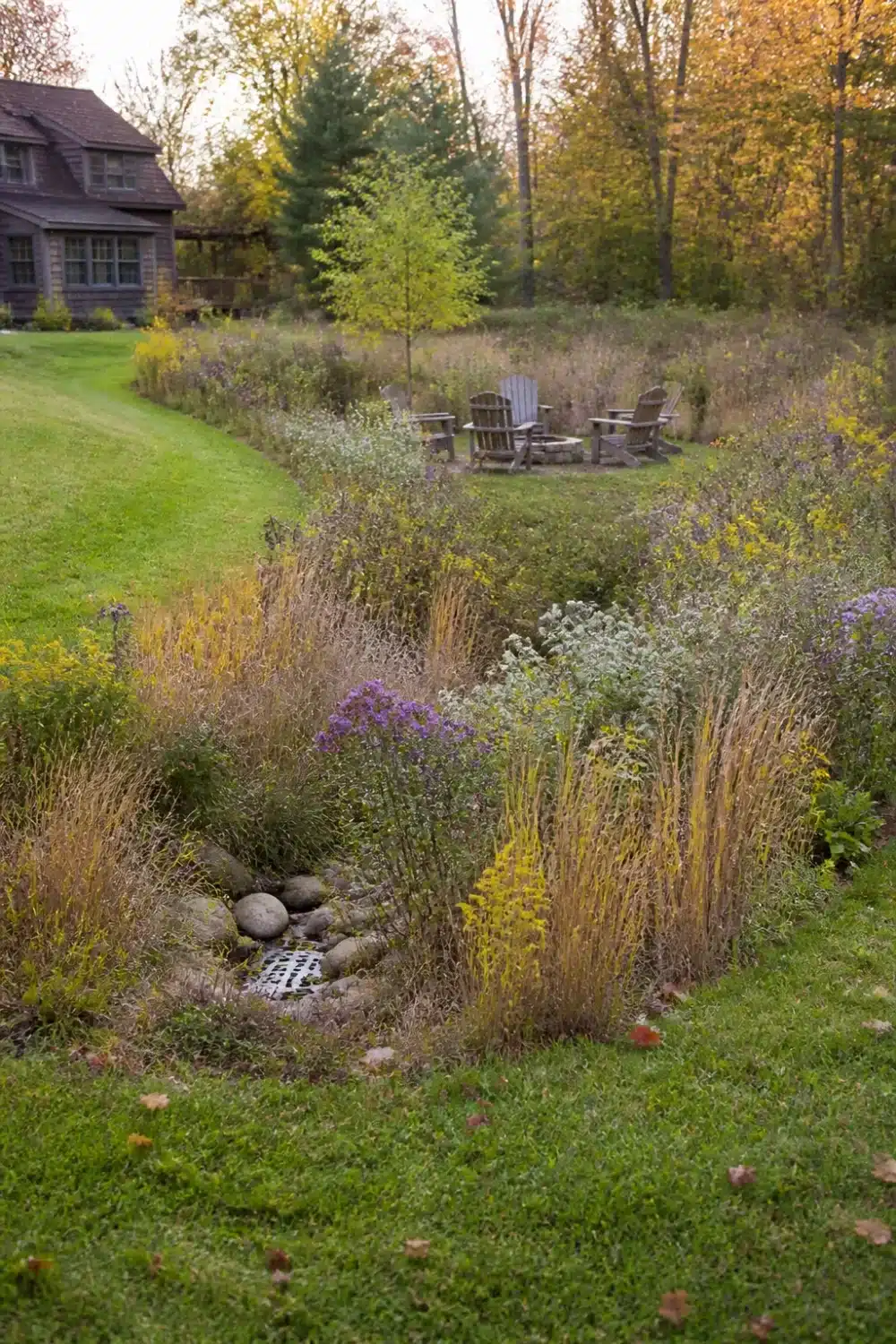 Meadow-style rain garden design with purple asters, golden grasses, and stone inlet swale in a backyard landscape