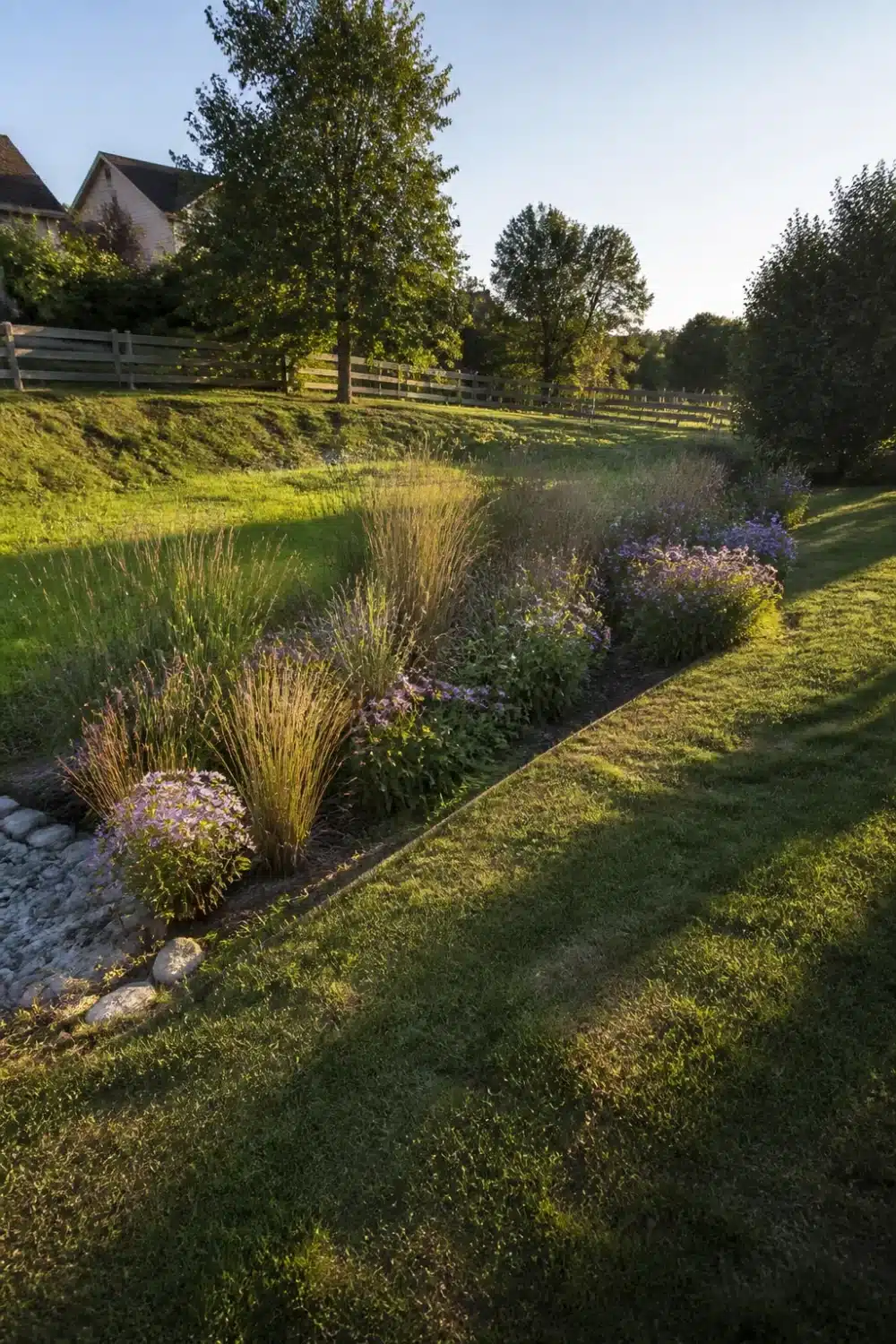 Backyard slope rain garden design with swale, aster plantings, and river rock drainage along a graded lawn edge.
