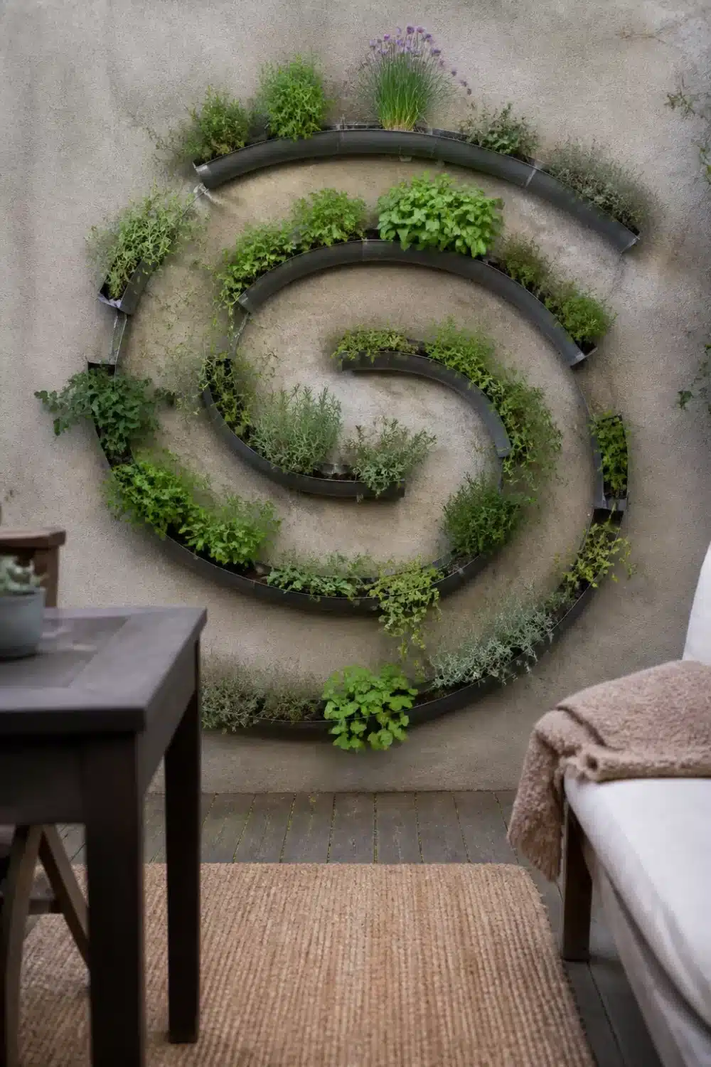 Spiral rain gutter garden on concrete wall with herbs growing in dark metal gutter channels