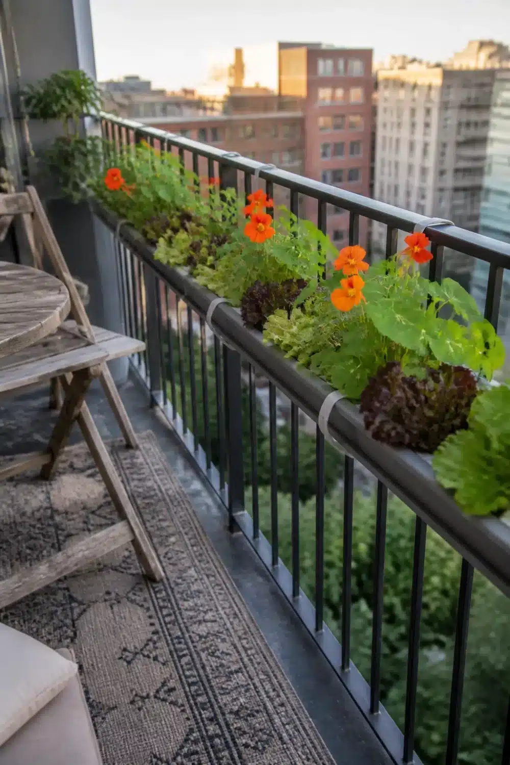Rain gutter garden mounted on city balcony railing with nasturtiums and red lettuce growing in long planter.