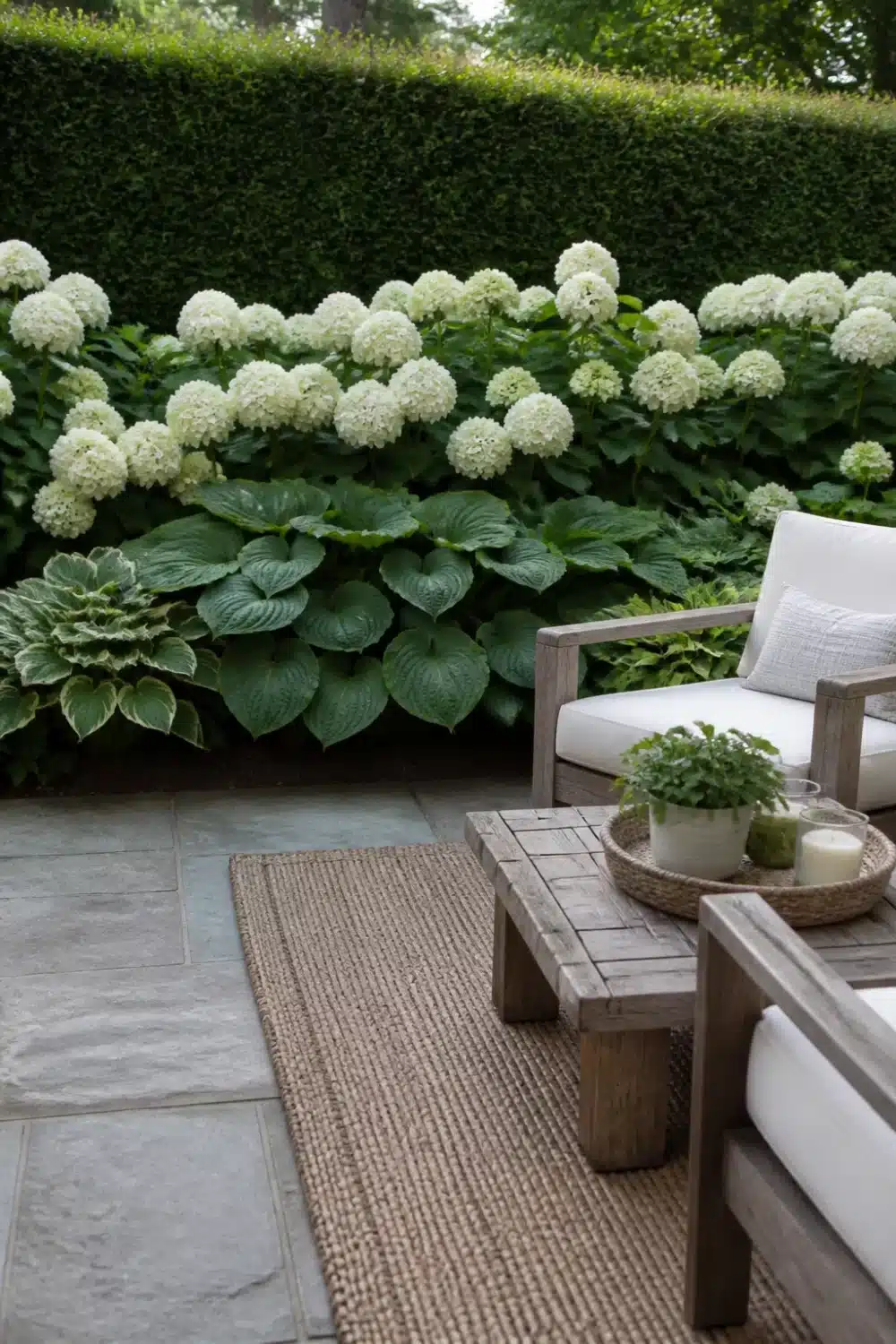 White hydrangea landscaping with layered hosta border and clipped hedge backdrop on a bluestone patio.