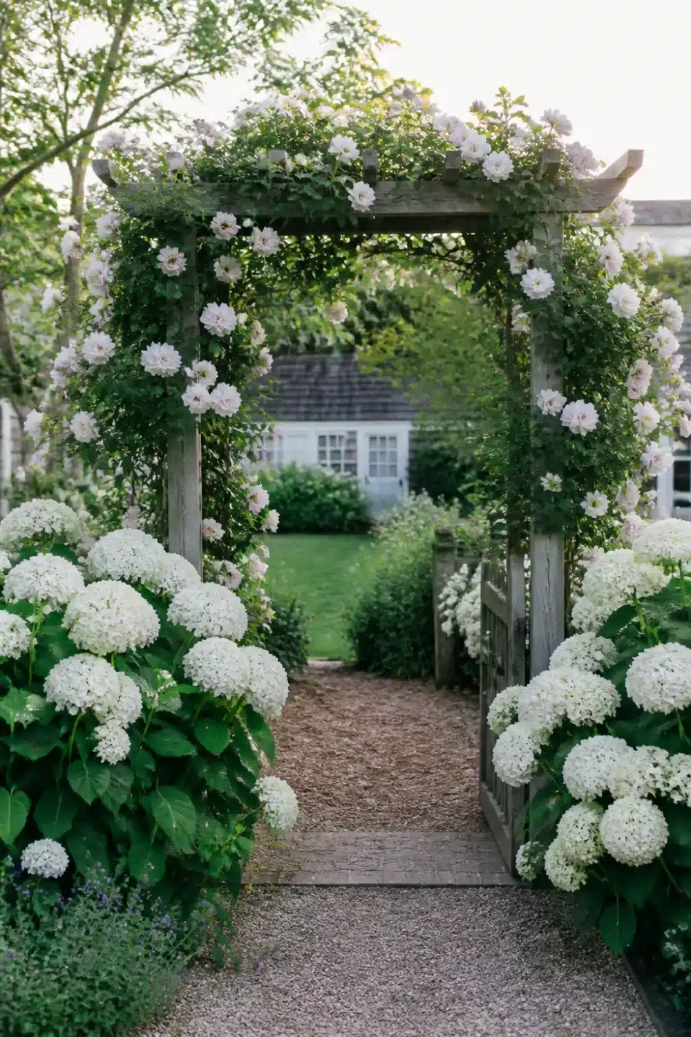 White hydrangea landscaping flanking a weathered wood garden arbor with climbing roses and a gravel path