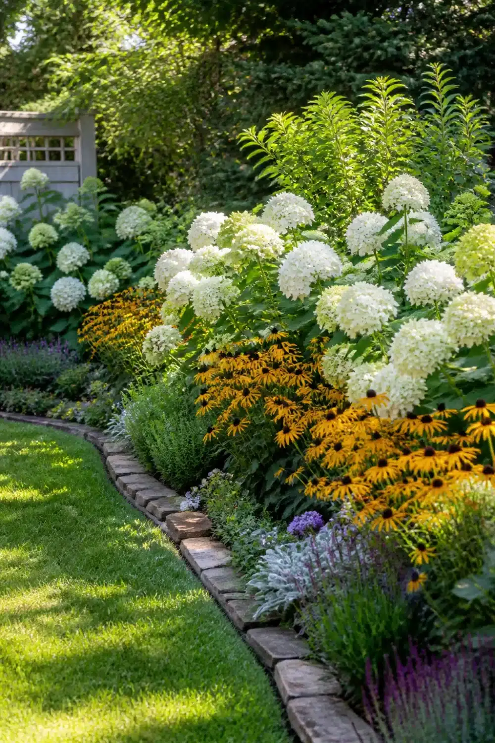 White hydrangea landscaping border with black-eyed Susans, purple salvia, and stone lawn edging in a summer garden.