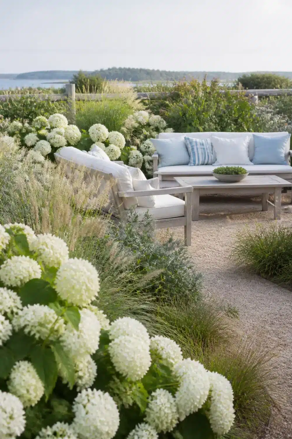 White hydrangea landscaping on a gravel coastal terrace with ornamental grasses and ocean views