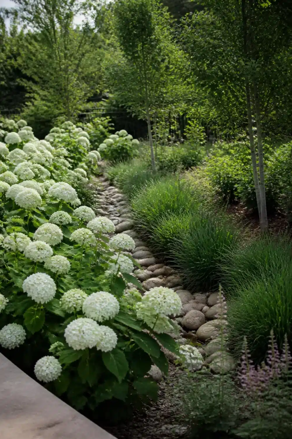 White hydrangea landscaping along a river rock rain garden swale with ornamental grasses and trees.