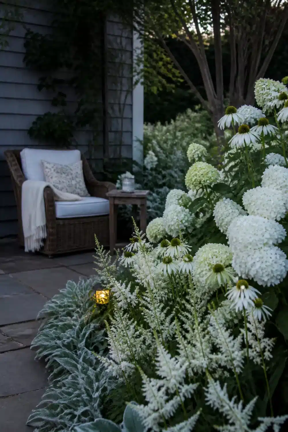 White hydrangea landscaping with coneflowers, astilbe, and silver foliage in a glowing dusk patio border.