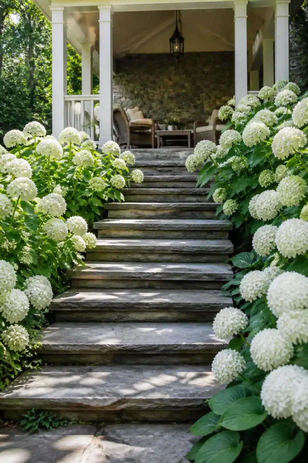 White hydrangea landscaping lining rustic bluestone garden steps leading to a covered stone porch